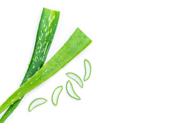 aloe vera leaf isolated on white background. Green fresh aloe vera leaf with slice isolated on white background. Natural herbal medical plant ,skincare ,health and beauty spa concept. aloe stock pictures, royalty-free photos & images