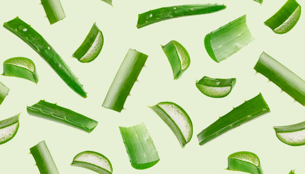Aloe vera seamless pattern on green background. Aloe vera seamless pattern on green background. Body care aloe stock pictures, royalty-free photos & images