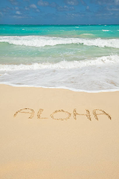 Aloha-Welcome to Hawaii! stock photo