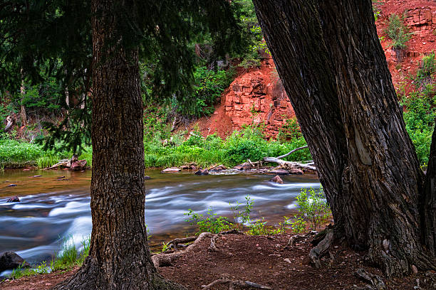 Along the Shore of the Frying Pan River Along the Shore of the Frying Pan River - Scenic red-rock canyon landscape near Aspen and Basalt, Colorado USA. basalt stock pictures, royalty-free photos & images