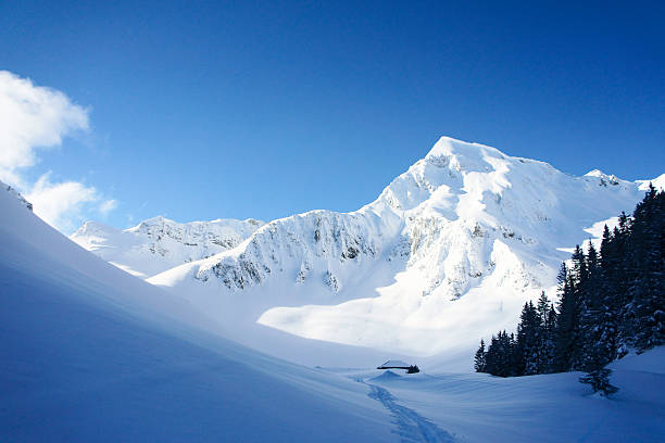 Alpine Idyll stock photo
