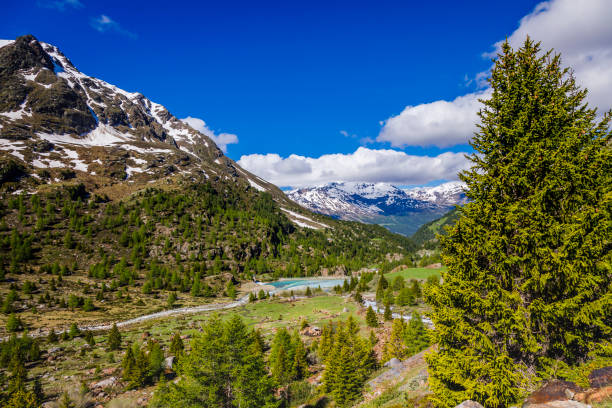 Alpine landscape near Santa Caterina, Adamello di Brenta, Dolomites – Italy stock photo