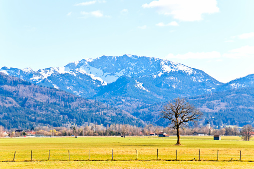 Alpine mountain scenery meadows and mountain peaks in springtime near Benediktbeuern, Upper Bavaria, Germany.
