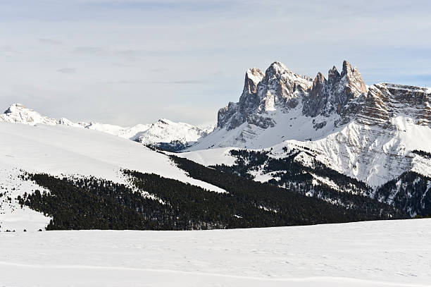 alpine inverno vista panoramica - jacobs foto e immagini stock