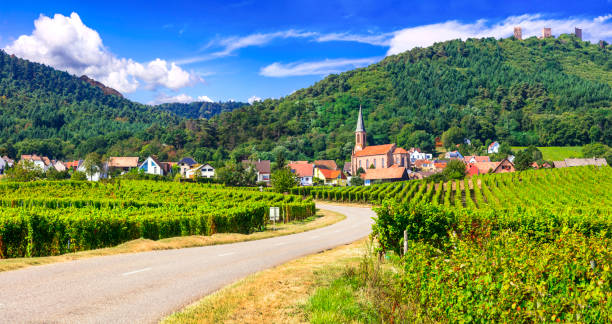 Alsace region of France - famous "Vine route" . beautiful vineyards and traditional vilage Husseren les chateaux scenic vilages of Alsace in France near Germany, with traditional half timbered houses vosges department france stock pictures, royalty-free photos & images