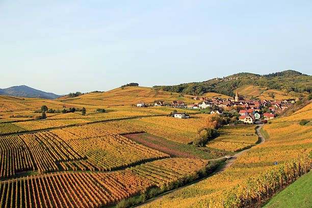 Alsatian village in the vineyard stock photo