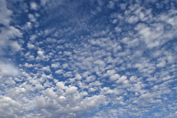 Altocumulus Clouds After a Storm Taken with Nikon D5600 in Del Rio Texas after a rainstorm. altocumulus stock pictures, royalty-free photos & images