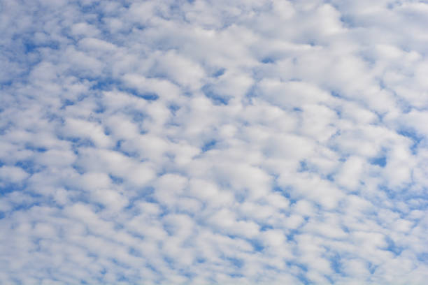 Altocumulus White altocumulus clouds on blue sky altocumulus stock pictures, royalty-free photos & images