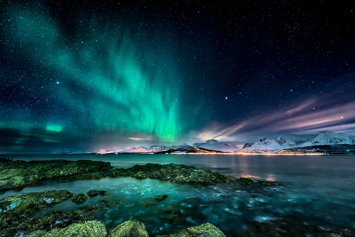 Amazing aurora borealis - northern lights - view from coast in Oldervik, near Tromso city -  north Norway