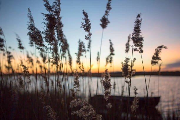 Amazing Coastal Sunset Photo stock photo