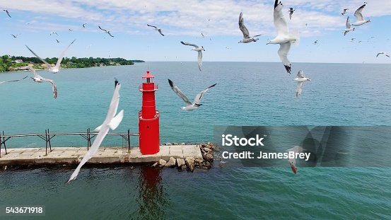 istock Amazing flock of seagulls over Algoma Harbor, iconic red lighthouse 543671918