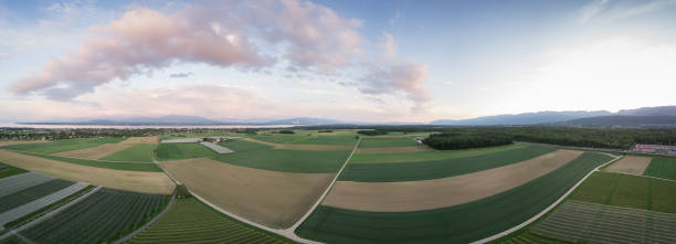 Amazing panorama of green fields stock photo