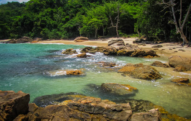 Amazing tropical beach in Brazil stock photo
