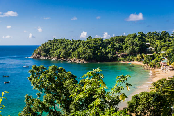 erstaunlichen tropischen strand in trinidad und tobago, caribe - blauer himmel, bäume, sandstrand - tobago stock-fotos und bilder