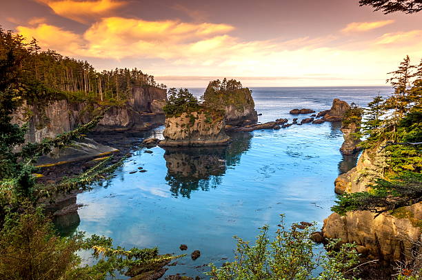 Amazing View of Cape Flattery, WA Amazing View of Cape Flattery  neah bay stock pictures, royalty-free photos & images