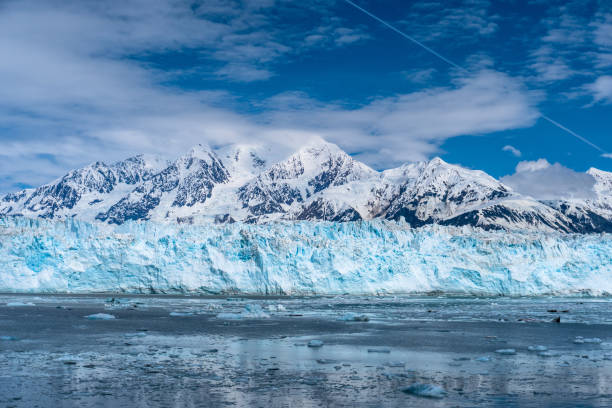 Amazing view on Hubbard Glacier. Snowy mountain peaks, wildlife, icebergs, Beautiful blue face of the glacier. This is Alaska cruise and ship was in Juneau, Ketchikan, and Skagway. kenai peninsula stock pictures, royalty-free photos & images