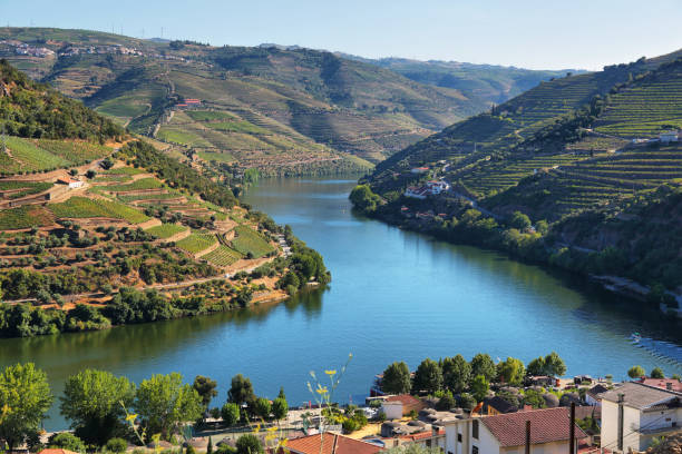 Amazing views of Douro vineyards and river from Casal de Loivos viewpoint, Portugal stock photo