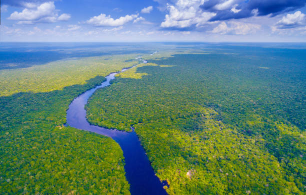 Amazon river in Brazil stock photo