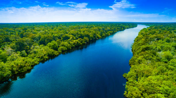 Amazon river in Brazil stock photo