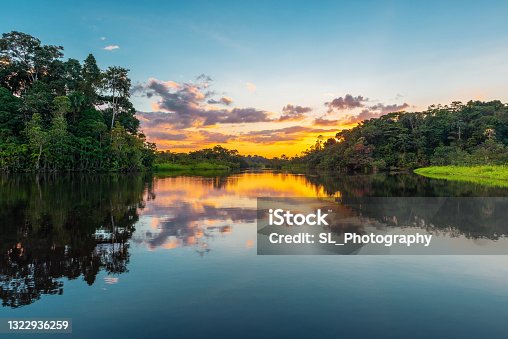 istock Amazon River Rainforest 1322936259