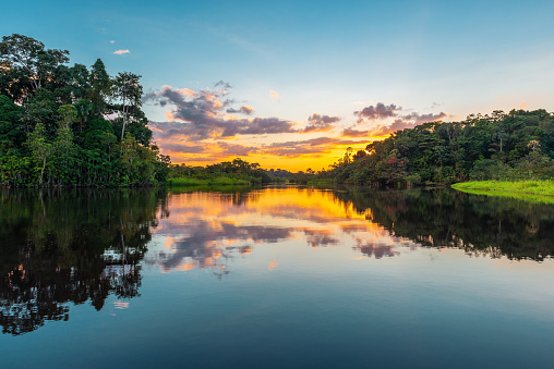 Amazon river rainforest sunset with copy space. Amazon river basin located in Brazil, Bolivia, Colombia, Ecuador, French Guyana, Peru, Suriname, Venezuela.