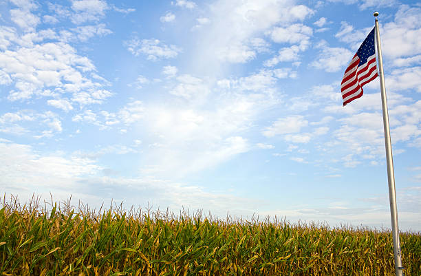 American Agriculture stock photo