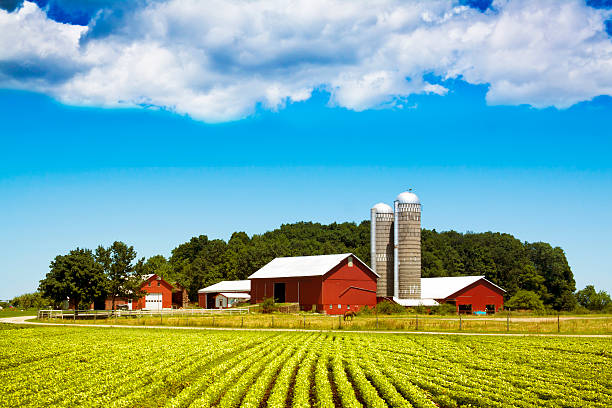 American Country http://i47.tinypic.com/a2gb4z.jpg farm stock pictures, royalty-free photos & images