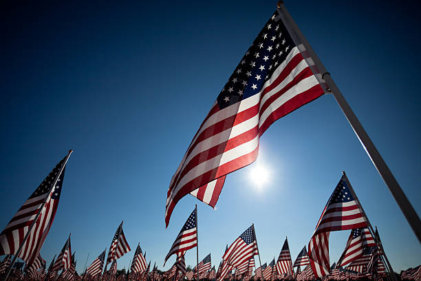 American Flag display commemorating national holiday memorial or veterans day Large group of American or United States Flags commemorating a national holiday, veterans day, independence day, 9/11, etc memorial day background stock pictures, royalty-free photos & images