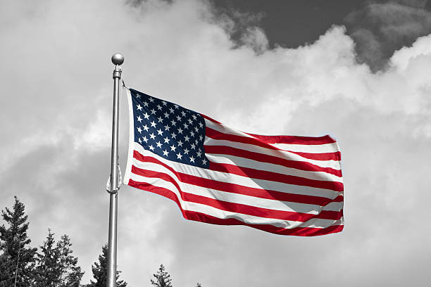 Top 60 Black And White American Flag Stock Photos ...