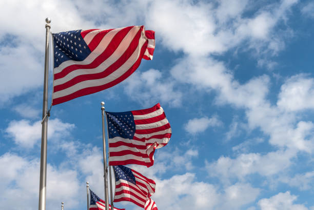American flag Group of American flags waving in the wind. memorial day background stock pictures, royalty-free photos & images