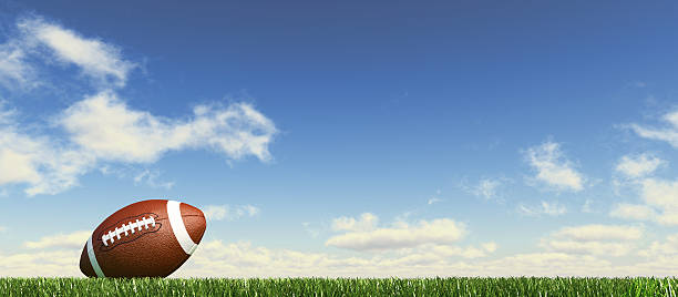 american football on grass; fluffy couds at the background. - 美式足球 球 插圖 個照片及圖片檔