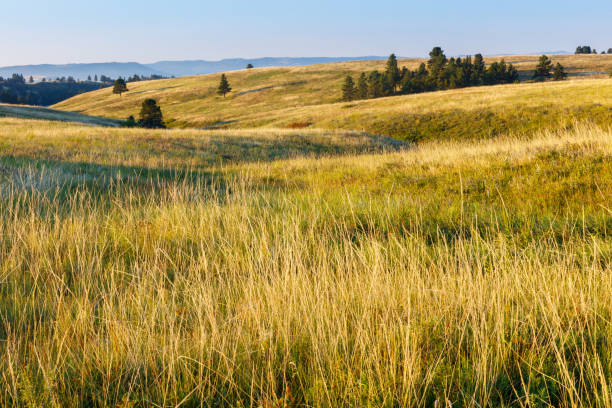 amerikanischen great plains prairie - south dakota landscape stock-fotos und bilder