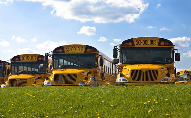 American School Buses stock photo
