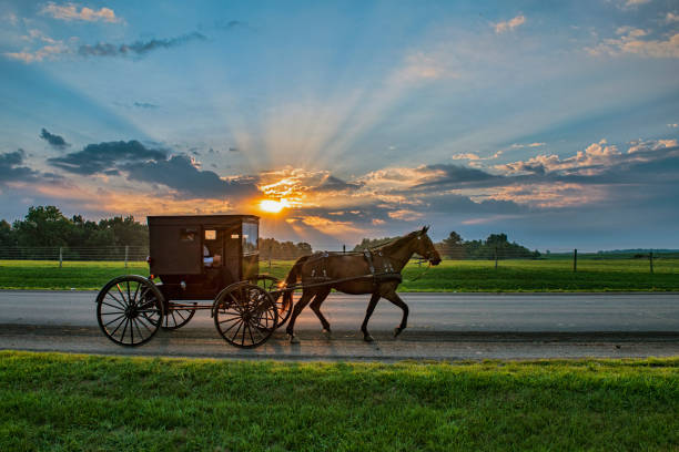 Amish Buggy and Sunbeams at Daybreak Amish Buggy and Sunbeams at Daybreak carriage stock pictures, royalty-free photos & images
