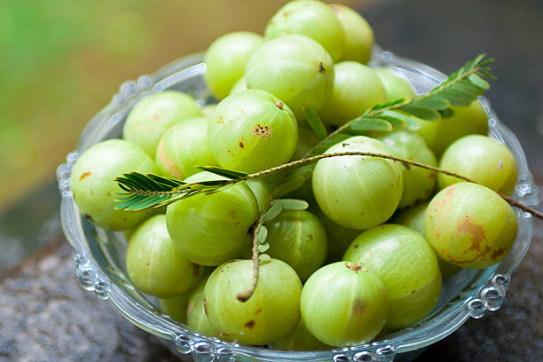 Indian Gooseberry Fruit