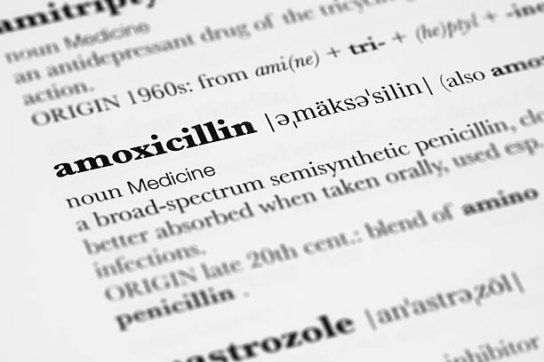 Amoxicillin Definition. Definition of The Drug Amoxicillin from a Medical Dictionary. pics for amoxicillin stock pictures, royalty-free photos & images