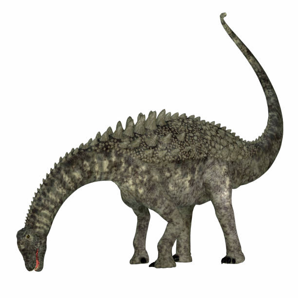 Ampelosaurus Herbivore Dinosaur stock photo