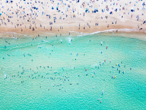 An aerial view of people at the beach An aerial view looking down at Bondi Beach in Sydney on a busy day with blue water australian culture stock pictures, royalty-free photos & images
