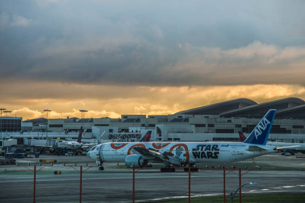 滑走路が大雨のため逆に、スター ・ ウォーズのフランチャイズから bb 8 を表すために描いた ana 航空会社ジェットは東方向にロサンゼルス国際空港に日没に到着します。 - タイトルバック ストックフォトと画像
