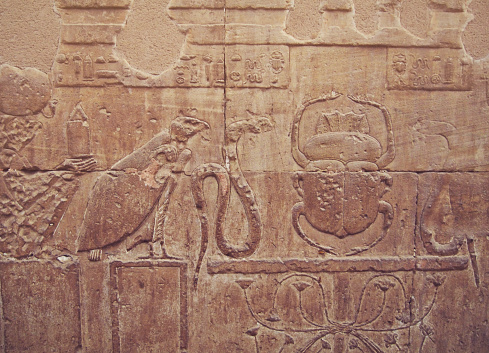 An engraving of the sacred scarab beetle, birds and snakes are on the wall of a religious temple of Dandara in Egypt. Well-preserved image on the stones of the wall.