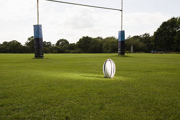 illumination un ballon de rugby sur un terrain de rugby - ballon de rugby photos et images de collection
