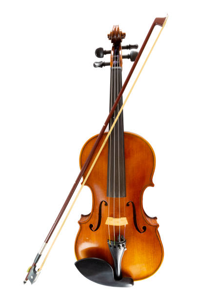 een geïsoleerd verticaal beeld van viool, snaar muziekinstrument in orkest. - kop stockfoto's en -beelden