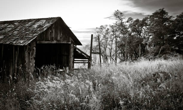 An old barn in a field in black and white stock photo