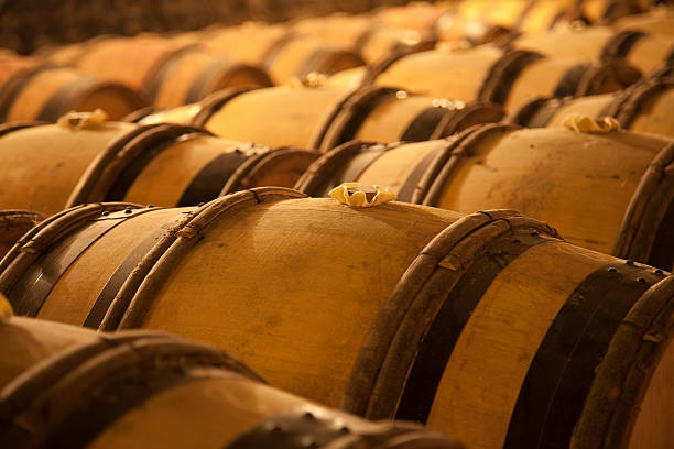 An old wine cellar full of barrels stock photo