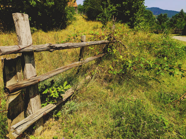 An old wooden fence overgrown with grass stock photo