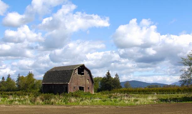 An  Old Worn Barn stock photo