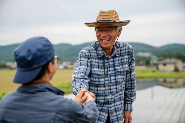 An older farmer shaking hands with a younger farmer stock photo
