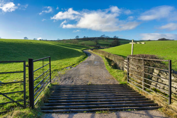 An open gate and a cattle grid leading to a country track An open gate and a cattle grid leading to a country track running through green fields in Northern england cattle grid stock pictures, royalty-free photos & images