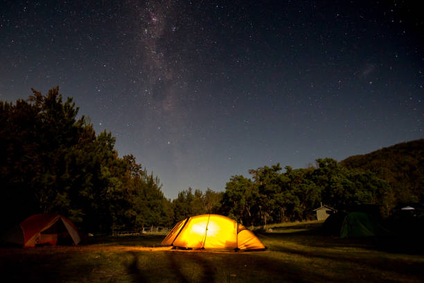 An orange tent glows under a brilliant star filled milky way night sky A tent has a light inside it as the stars swirl over a clear night. In some of these shots the moon is illuminating the foreground, while in others the trees are in silhouette. common opossum stock pictures, royalty-free photos & images