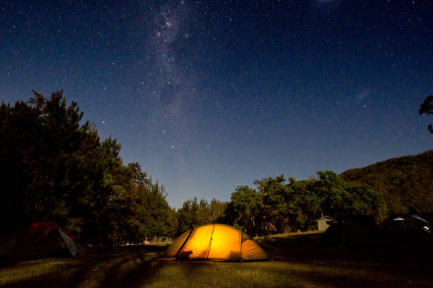 An orange tent glows under a brilliant star filled milky way night sky A tent has a light inside it as the stars swirl over a clear night. In some of these shots the moon is illuminating the foreground, while in others the trees are in silhouette. common opossum stock pictures, royalty-free photos & images
